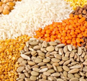 Nano Seed Coating and Nanofertilizers for sustainable agriculture