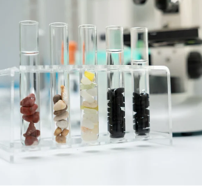 Animal Cell Culture & Its Applications in Research