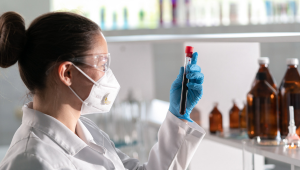 Short Term Internship Program