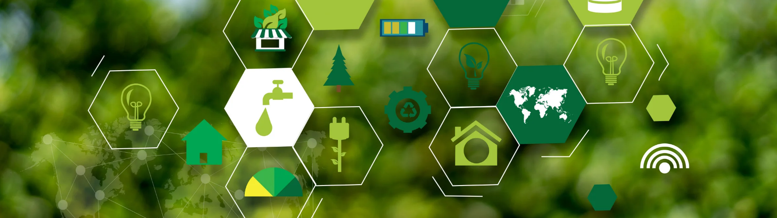 One Day Offline Workshop - Agriculture