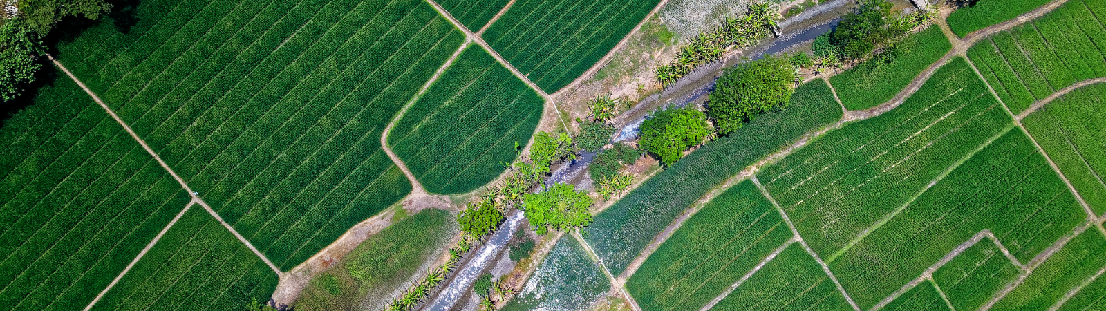 ONLINE INTERNSHIP -AGRICULTURE