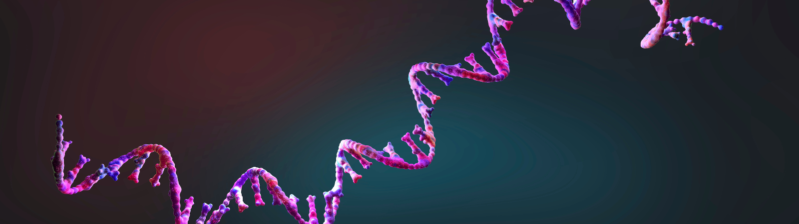 Short Term Internship Program