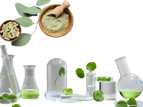 Two Day Online Program On Green Synthesis of Nanoparticles