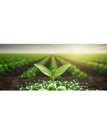 Biological Sources & Green Synthesis of Nanomaterials: Practical Thumb Rules & Selection Strategies